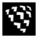 Shield AI logo